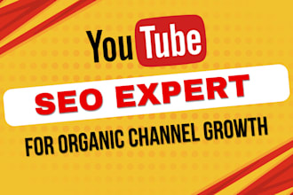 be your youtube SEO expert and channel manager