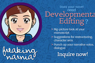 provide a professional developmental edit for your novel