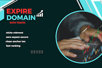 research high quality expired domains related to your niche