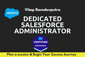 be your dedicated salesforce admin