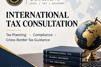 provide professional international tax consultation