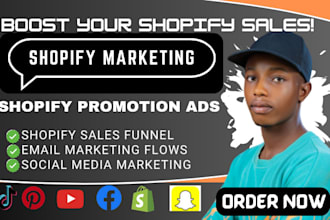 do website promotion, shopify facebook ads manager, shopify virtual assistance