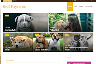 develop a great pet grooming website animal website veterinary pet care website
