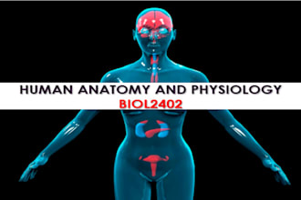 do your human anatomy and physiology task