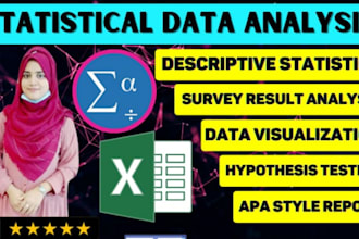 do the statistical data analysis using by spss and excel software
