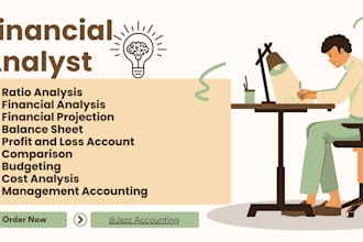 do ratio and financial analysis for project reports
