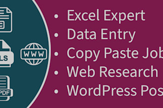 be your virtual assistant for excel, data entry, wordpress blog post entry