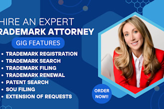 file your trademark application, trademark search, renewal, sou, amazon brand
