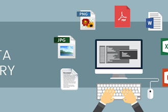 handle your data with precision  expert data entry using ms office tools
