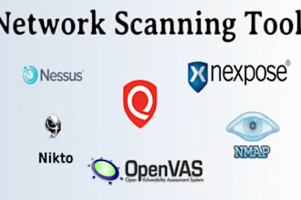 perform web pentest using tools and will provide a report on my finding