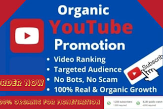 promote your youtube channel and help monetize it