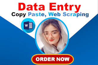 ms excel data entry typing work job, copy paste, retype pages