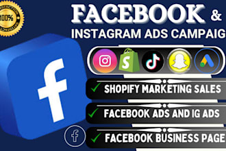 setup facebook ads and instagram ads campaign, run shopify fb advertising