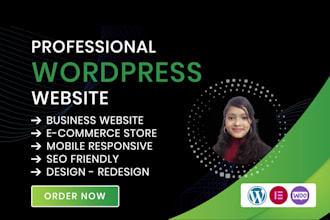 design modern responsive wordpress website for small business