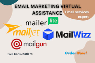 setup mailwizz, mailer lite, mailgun, email campaign and automation, VA