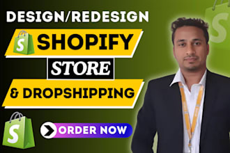 build automated shopify dropshipping store shopify website