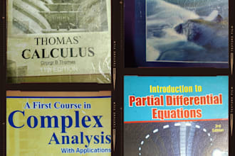 provide my services in mathematics