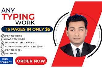 do a fast typing job, retype scanned documents, excel work, your typist