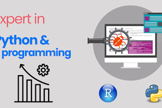 provide professional r and python project support and tutoring