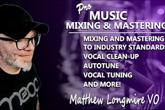 professionally mix and master your song