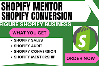 be your shopify mentor and shopify manager, shopify promotion for shopify sales