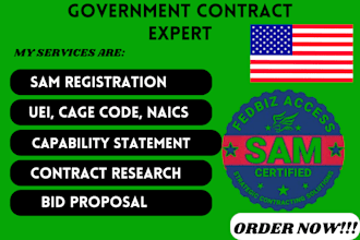 find rfp, write government contract bid proposal, rfi, rfq, capability statement