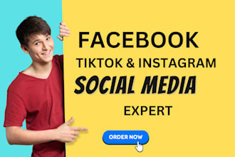 do virtual assistant on instagram facebook social media manager micro influencer