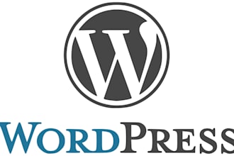 professional wordpress development and customization