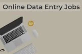 1 data entry   2   data  accuracy   3  virtual assistant