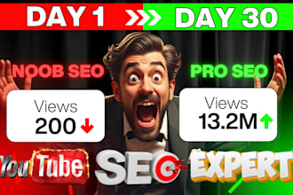 do best youtube video SEO expert for organick video ranking