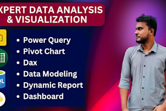 be your data analyst and power bi dashboard specialist