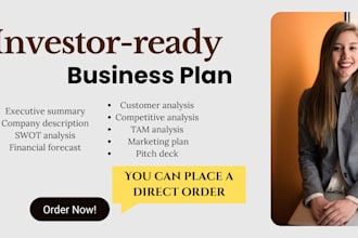 prepare an investor ready business plan for startup