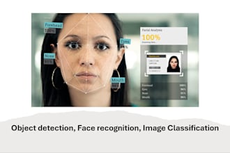 do image classification, face recognition, object detection, segmentation