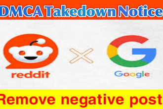 send dmca takedown notice to remove infringement from google and reddit