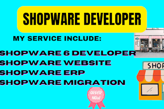 be your shopware 6 developer, shopware erp, shopware website, shopware migration