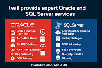 deliver expert oracle and sql server dba support and performance tuning