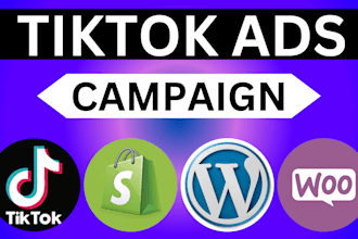 run tiktok ads campaign, tiktok ads, tiktok video ads, tiktok marketing