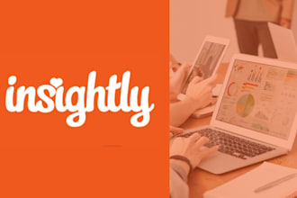 setup and customize insightly CRM for your small business
