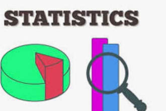 do expert statistical analysis