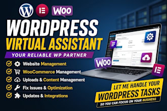 be your wordpress virtual assistant for any type of wp tasks