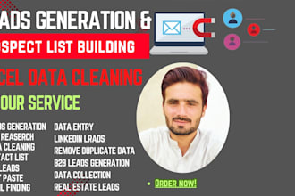 professional b2b lead generation, data cleaning and va tasks