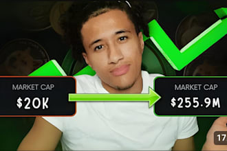 rise 100k mc, memecoin promotion, telegram promotion, crypto twitter marketing