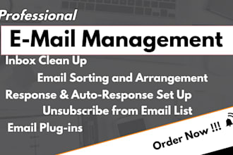 organize and manage your email account with professionalism