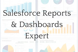 salesforce reporting and dashboard customization for enhanced insights