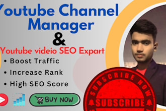 optimize best you tube video SEO and fast organic growth