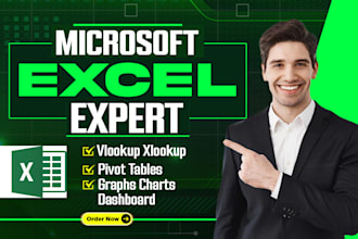 create excel vlookup, xlookup, pivot tables, graphs, charts, dashboard