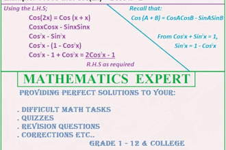 help you in mathematics, calculus projects using python , r or matlab