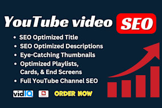 do youtube video SEO, video promotion channel growth manager for organic views