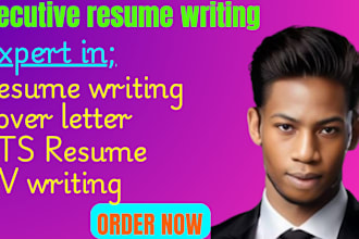 provide executive resume writing CV writing professional resume resume writing