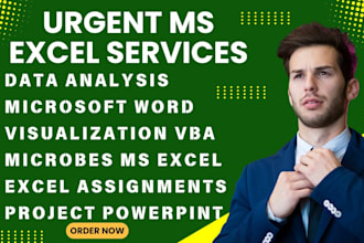 do urgently ms excel, ms word assignments projects and powerpoint presentations